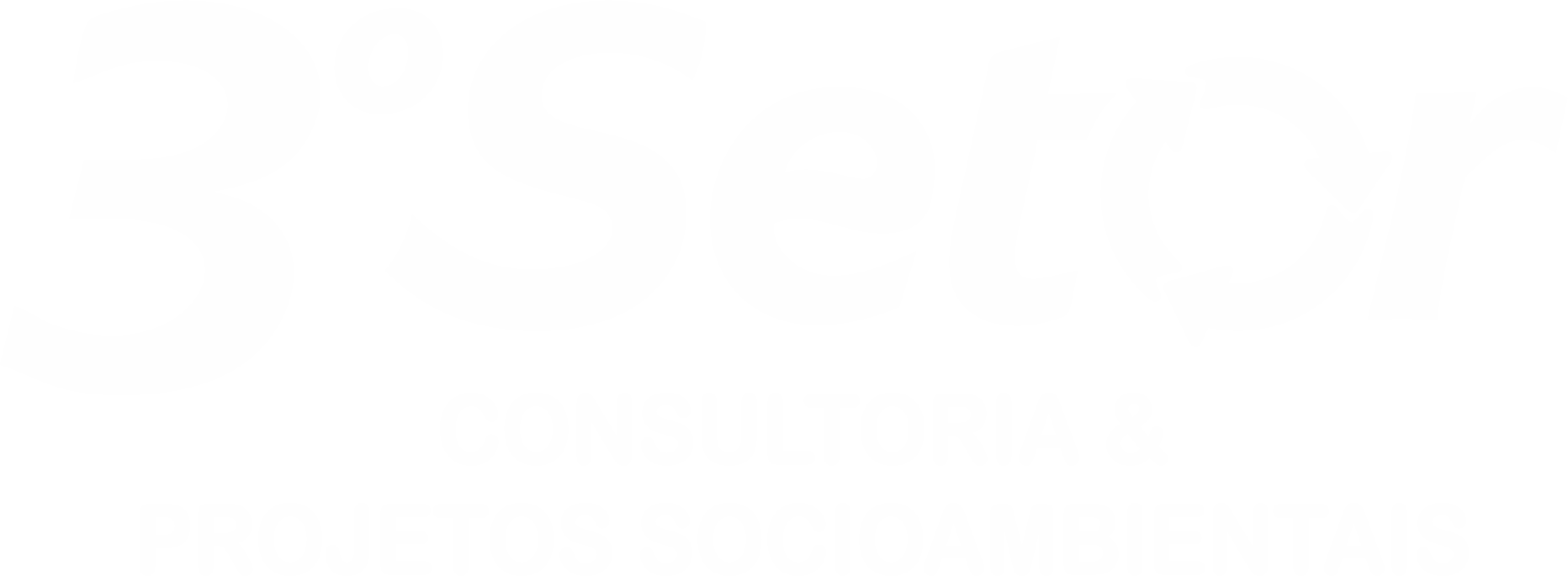 Terceiro Setor Consultoria